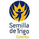 Semilla de Trigo COLOMBIA